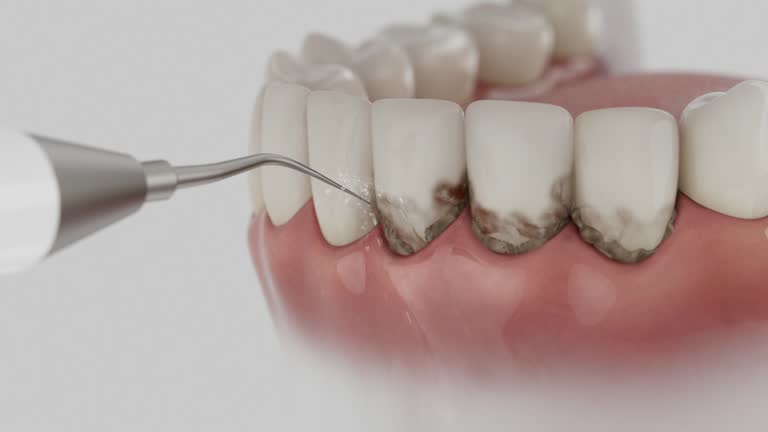 Reliable Dental contractor in Lead, SD by Dentist Open Now